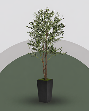 Plants and Planters