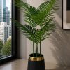 Areca Palm (PL1004)