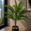 Palm Plant (PL1007)