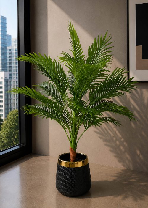 Palm Plant (PL1007)