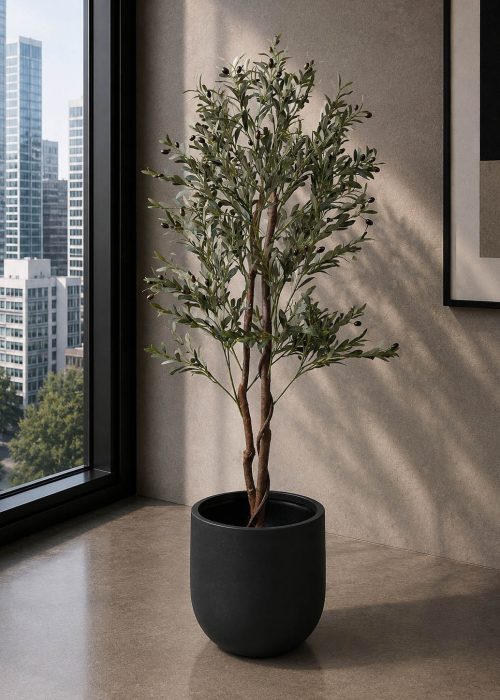 Olive Tree (PL1016)