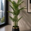 Areca Palm Plant (PL1017)