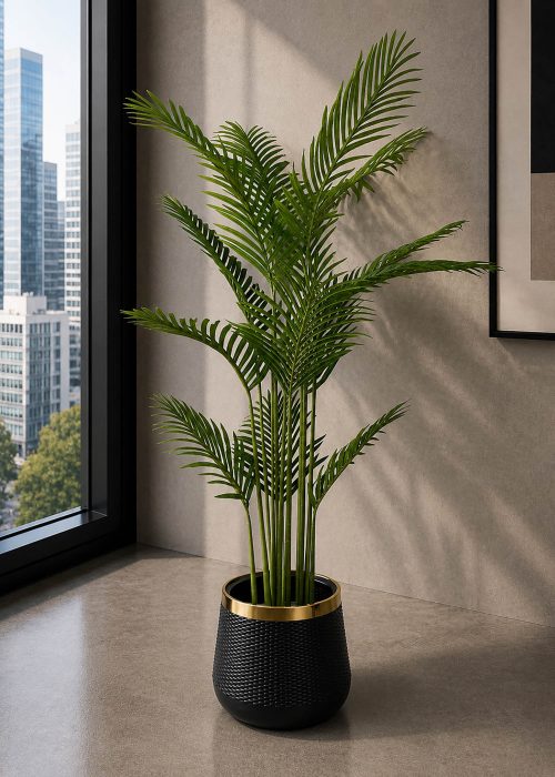 Areca Palm Plant (PL1017)