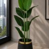 Banana Plant (PL1018)