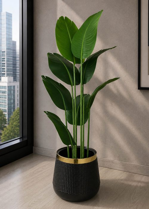Banana Plant (PL1018)