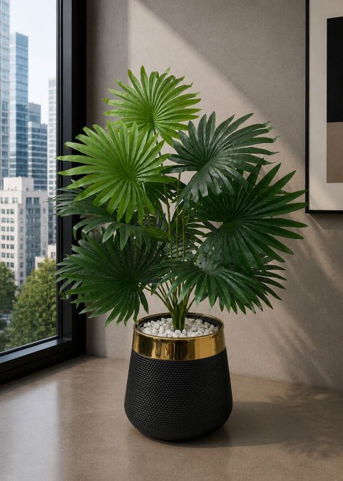 Fan Palm Plant (PL1021)