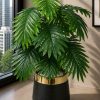 Palm Plant (PL1022)