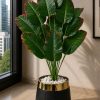 Banana Plant (PL1023)
