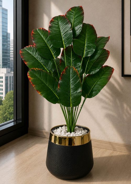 Banana Plant (PL1023)