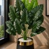 Elephant Ear Plant (PL1025)