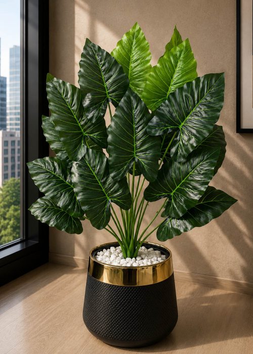 Elephant Ear Plant (PL1025)