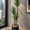 Yucca Plant (PL1028)
