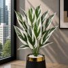 Variegated Tropical Plant (PL1030)