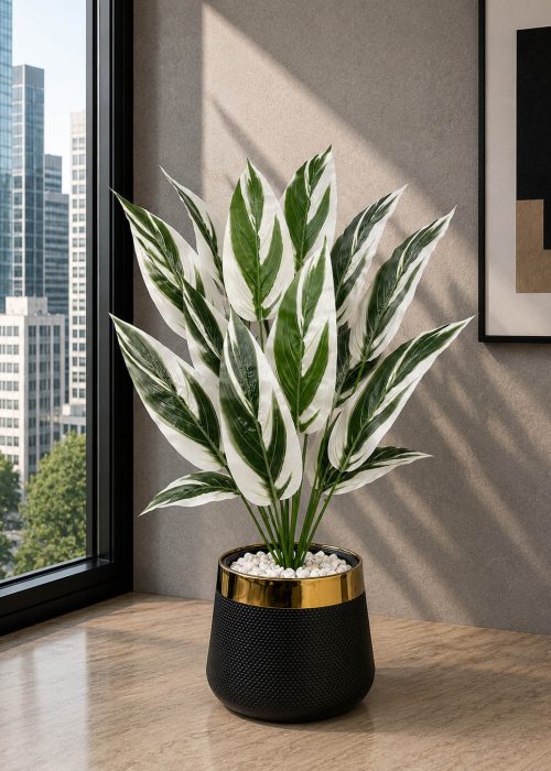 Variegated Tropical Plant (PL1030)