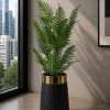 Natural Palm (PL1035)