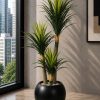 Pineapple Plant (PL1036)