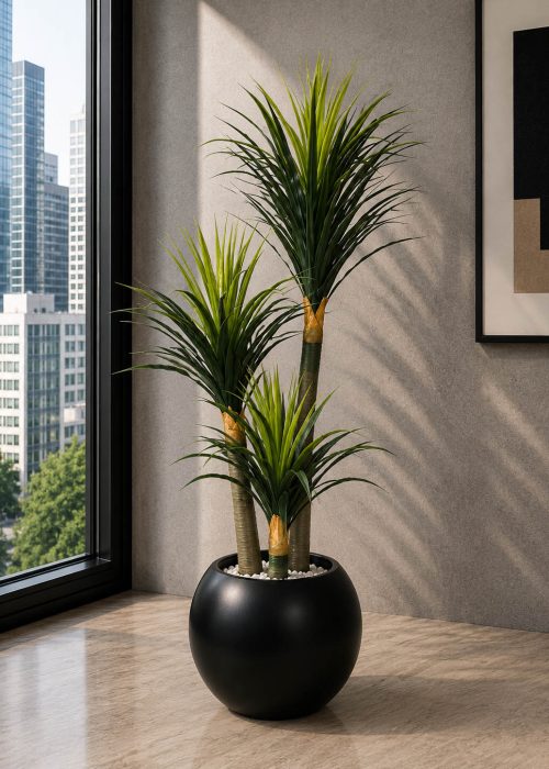 Pineapple Plant (PL1036)