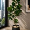 Fiddle Leaf Fig Tree (PL1039)
