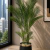 Premium Areca Palm (PL1040)