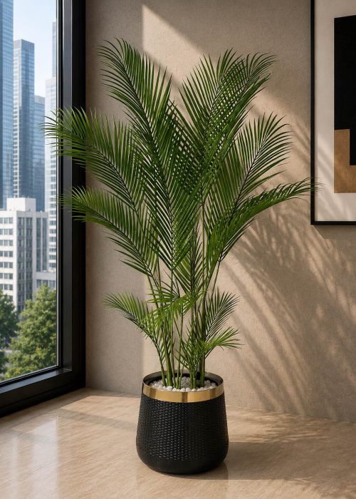 Premium Areca Palm (PL1040)