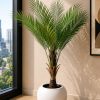 Cycas Palm Tree (PL1049)