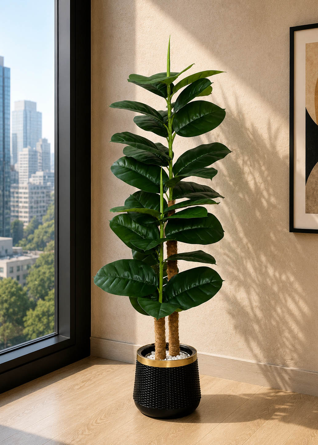 Rubber Plant Tree (PL1050)