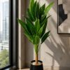 Tropical Foliage Plant (PL1051)
