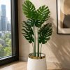 Monstera Plant (PL1053)