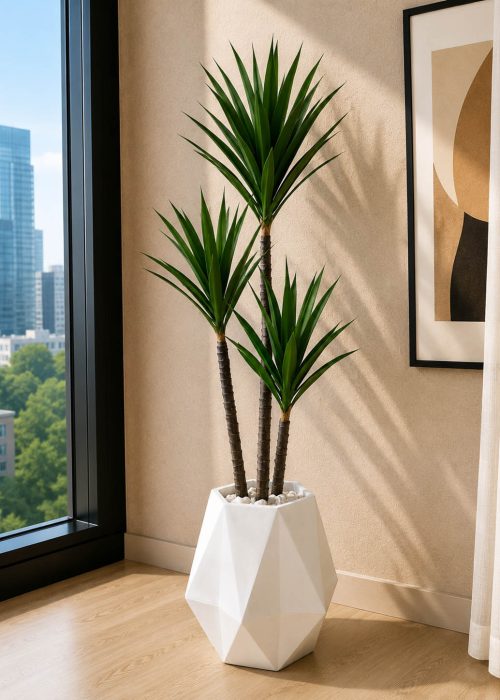 Agave Plant (PL1058)
