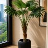 Fan Palm Plant (PL1060)