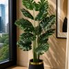 Monstera Plant (PL1063)
