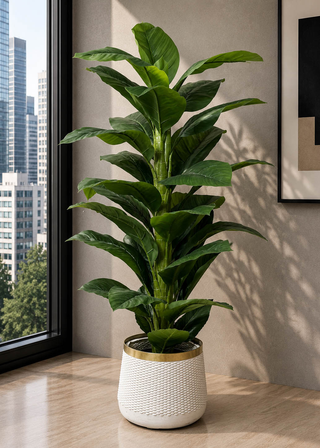 Imperial Banana Plant (PL1070)