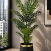 Royal Areca Palm (PL1071)