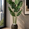 Monstera Royale Plant (PL1072)