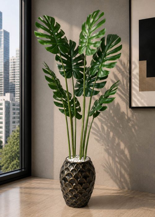 Monstera Royale Plant (PL1072)