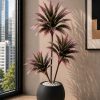 Pink Paradise Plant (PL1073)