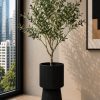 Noir Olive Luxe Tree (PL1074)