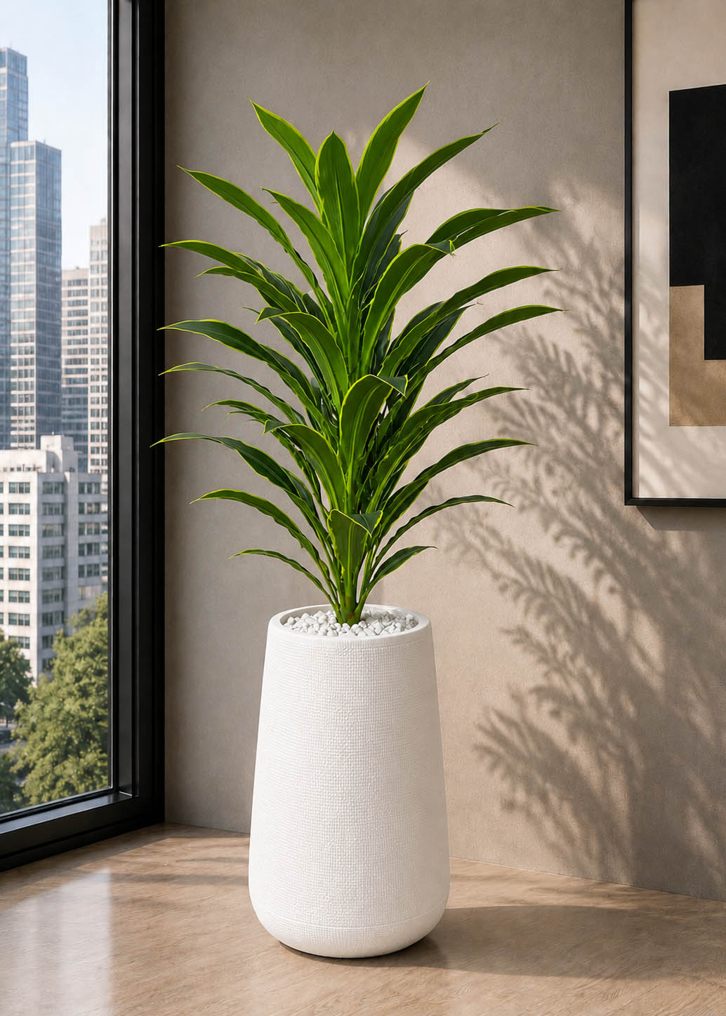 Ivory Green Snake Plant (PL1075)