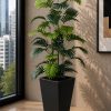 Tropical Palm Plant (PL1078)