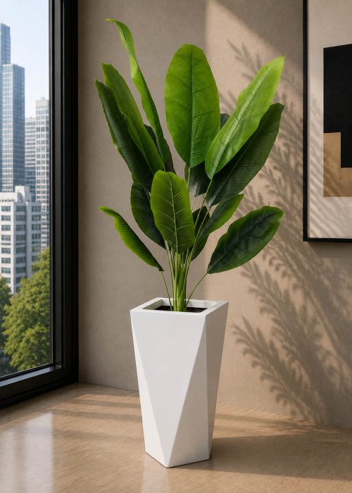 Banana Plant (PL1079)