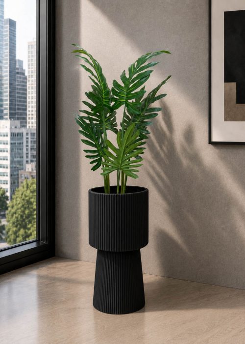 Swiss Cheese Plant (PL1080)
