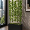 Zen Bamboo (PL1082)