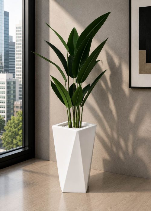 Ivory Bird of Paradise Plant (PL1083)
