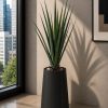 Aloe Vera Plant (PL1084)
