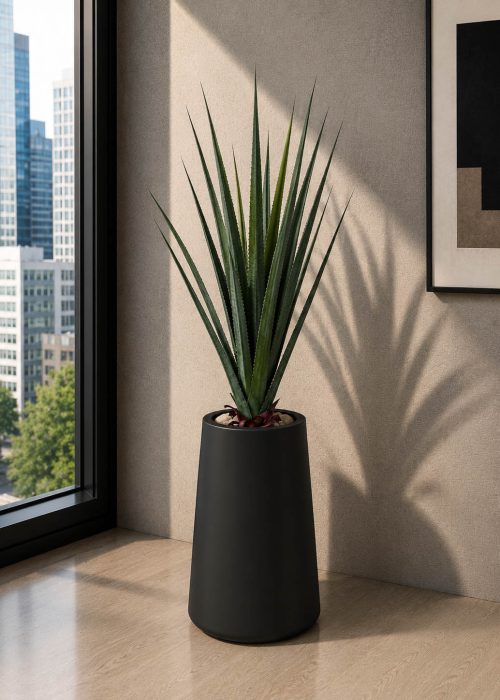 Aloe Vera Plant (PL1084)
