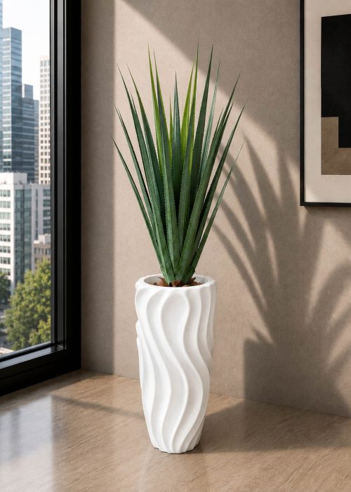 Midnight Agave (PL1085)