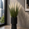 Ivory Pampas Grass (PL1087)
