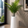 Palm Breeze Plant (PL1089)