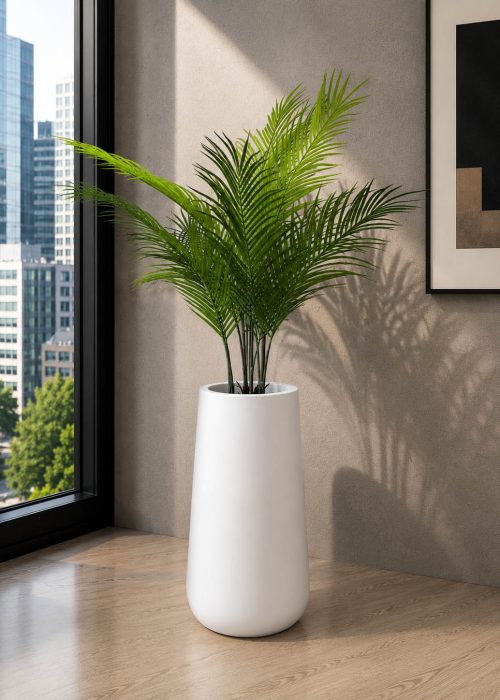 Palm Breeze Plant (PL1089)