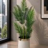 Royal Palm Plant (PL1091)